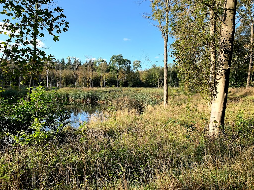 boserupgard-nature-center-0.jpeg