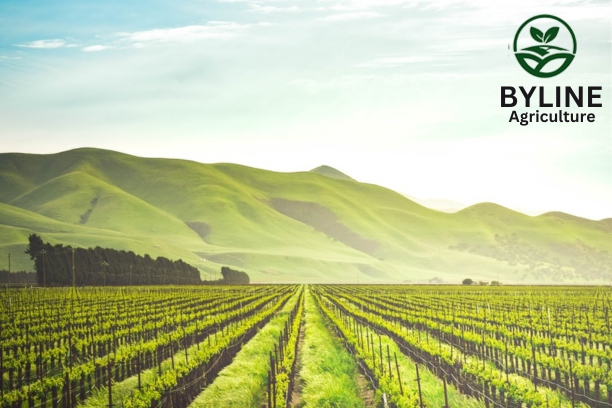 byline-agriculture-2.jpeg