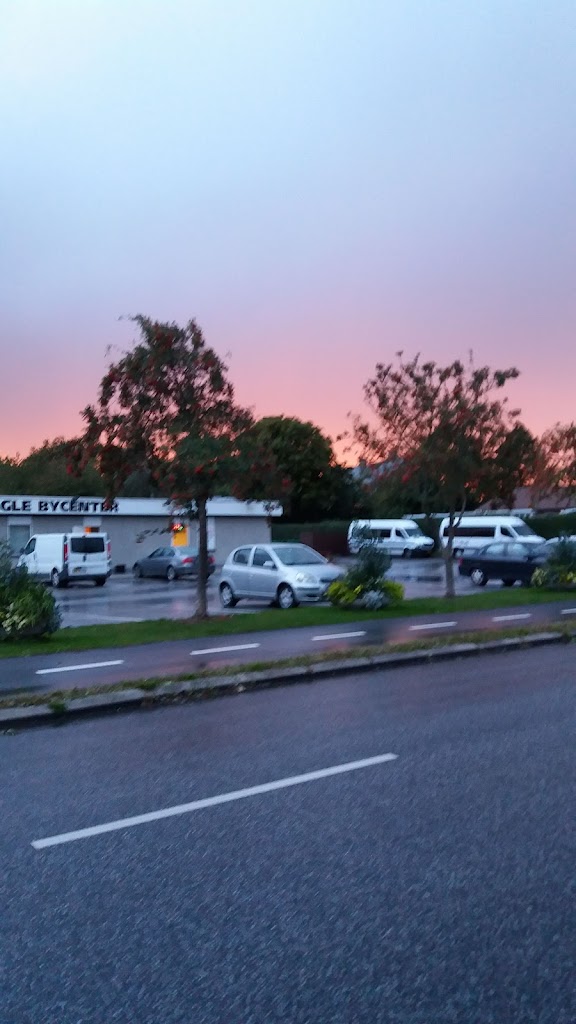daglibrugsen-8.jpeg