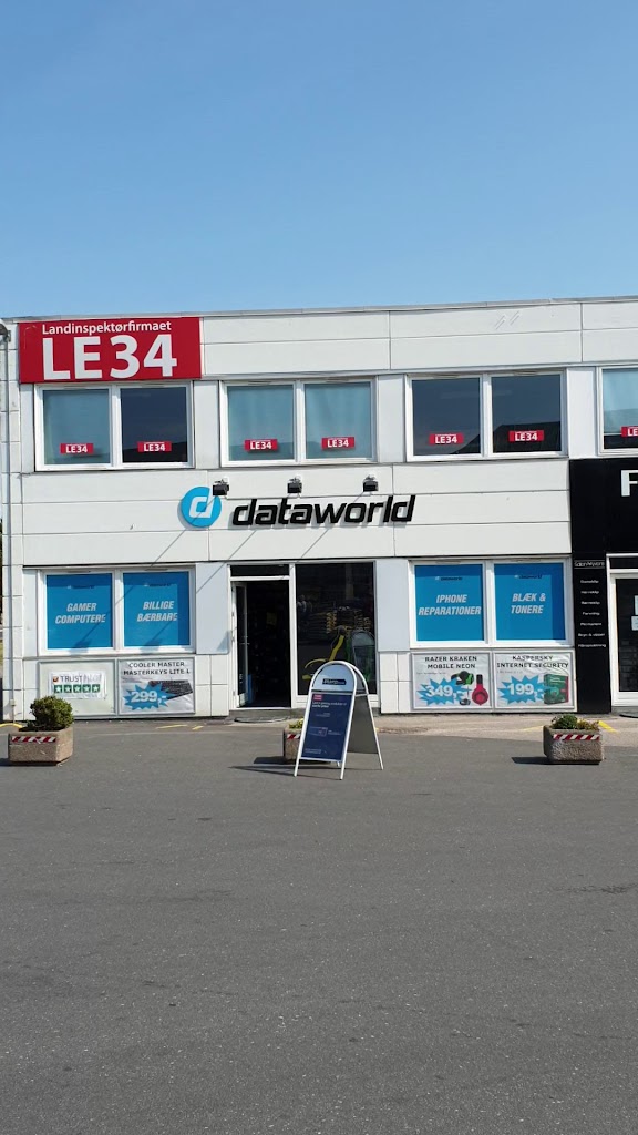 dataworld-2.jpeg