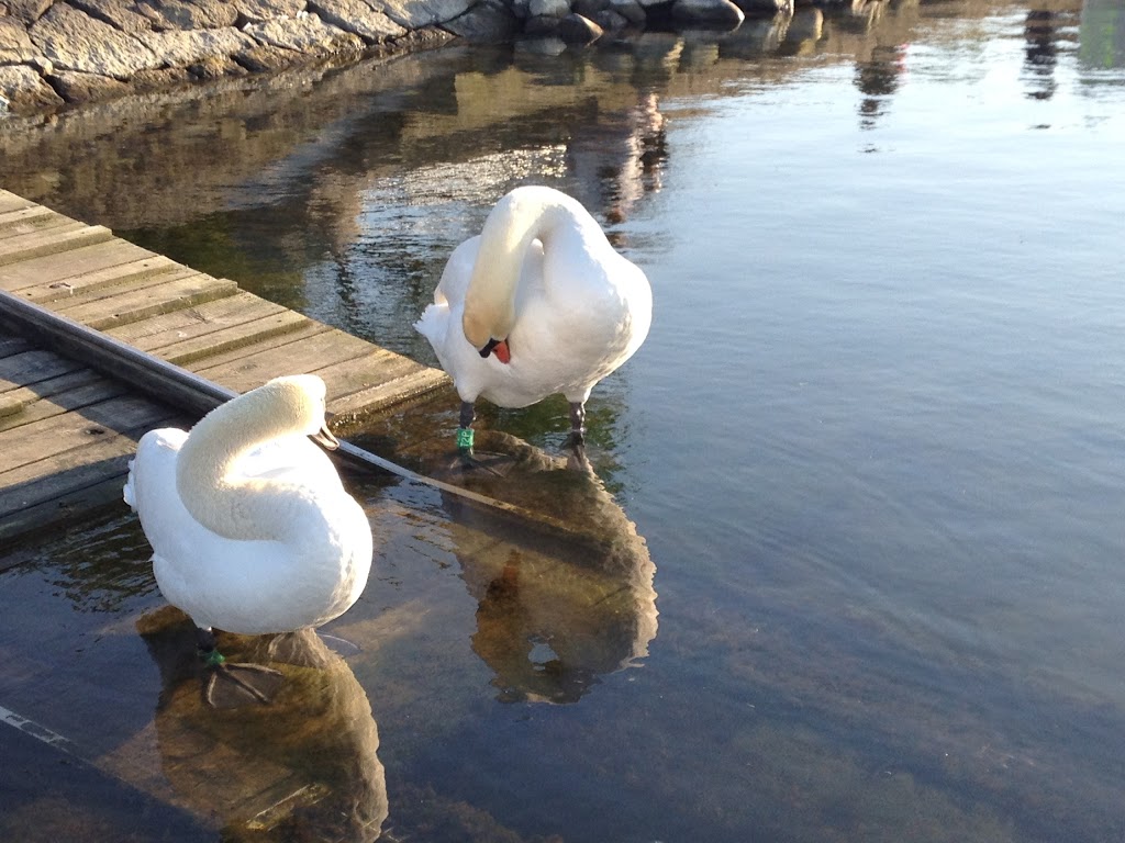 havnekiosken-roskilde-5.jpeg