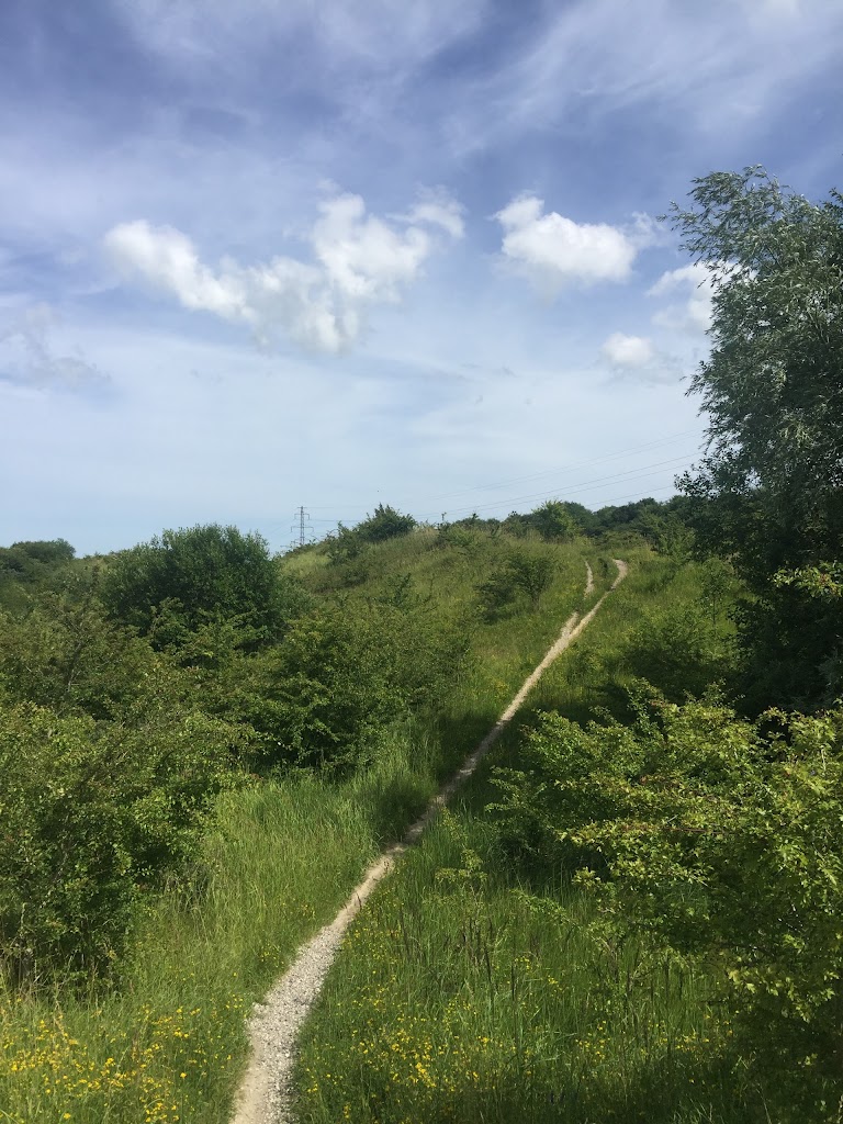 hedeland-naturtrail-15.jpeg