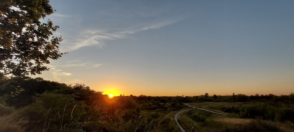 hedeland-naturtrail-16.jpeg