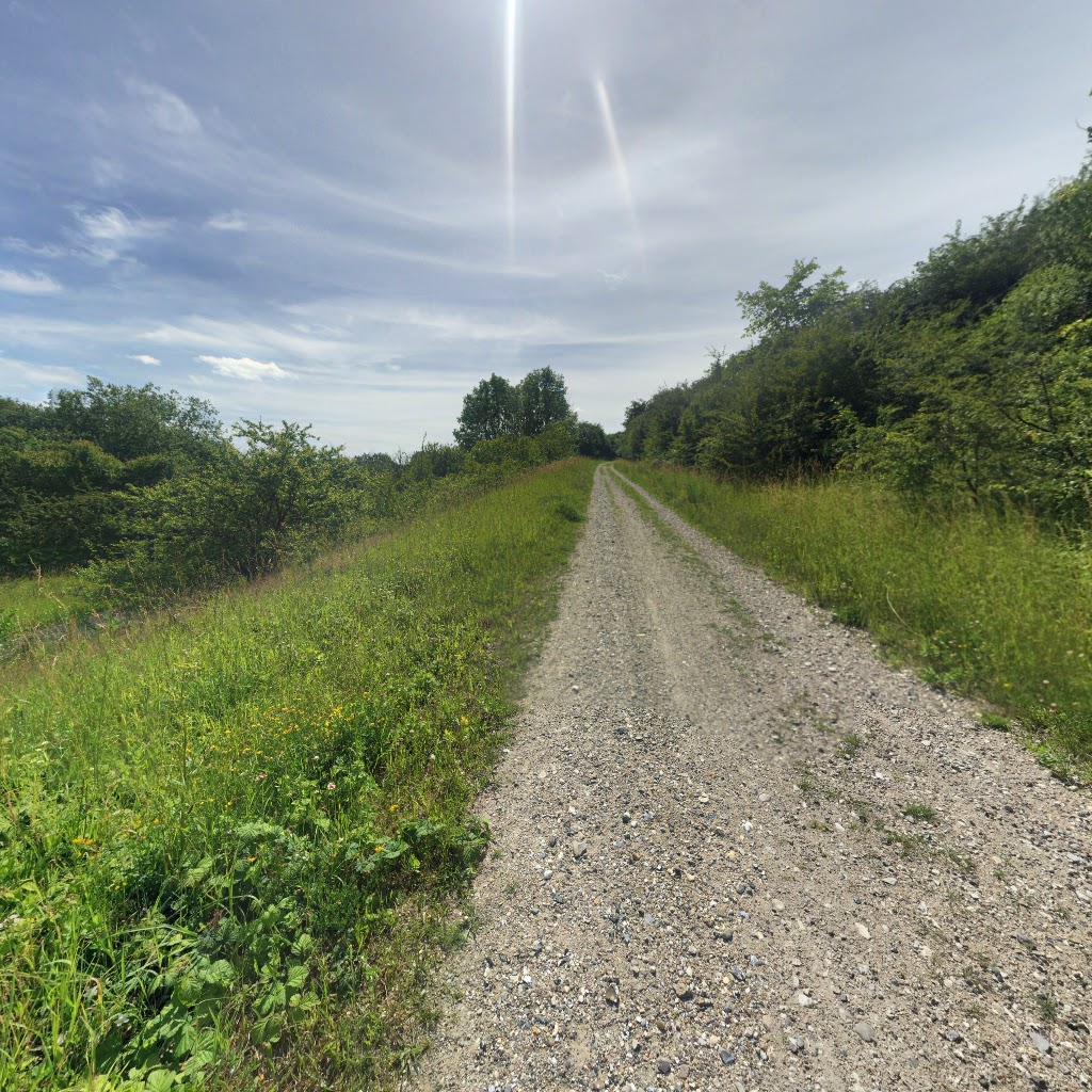 hedeland-naturtrail-18.jpeg
