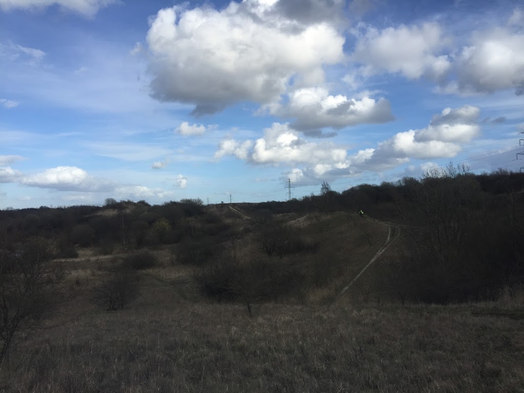 hedeland-naturtrail-7.jpeg