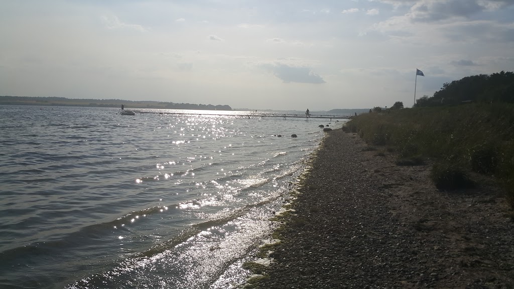 himmelev-skov-kildemosen-3.jpeg