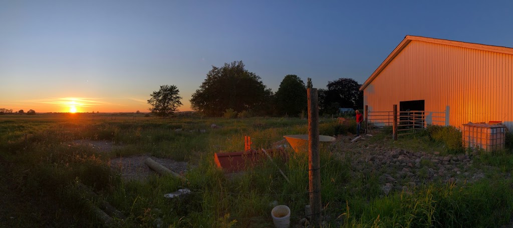 kaergaard-roskilde-12.jpeg