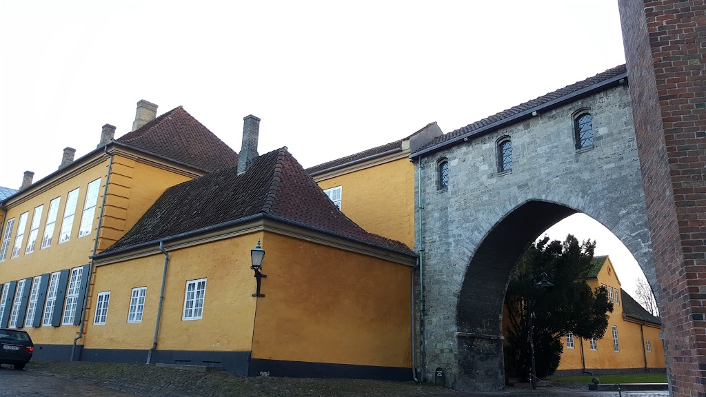 palaeflojen-15.jpeg