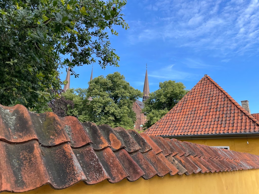 palaeflojen-8.jpeg