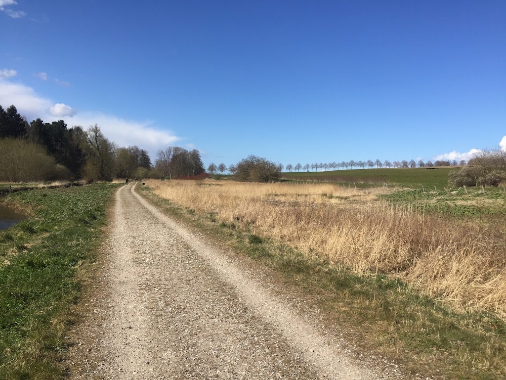 pilegard-5.jpeg