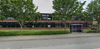 red-boat-wing-chun-kung-fu-athletic-mixed-martial-art-system-denmark-6.jpeg