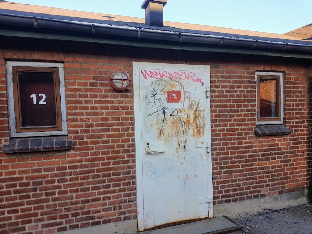 roskilde-cykle-ring-0.jpeg