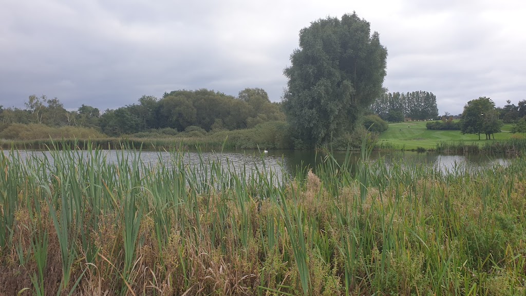 roskilde-golfklub-8.jpeg