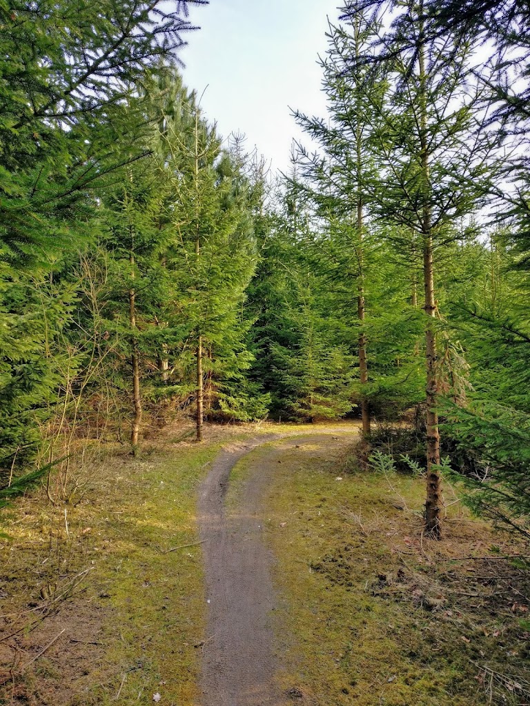 trekroner-mtb-spor-13.jpeg