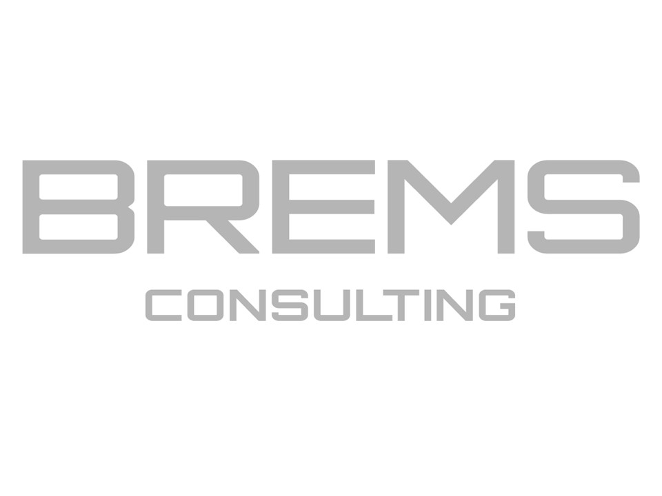 brems-consulting-0.jpeg