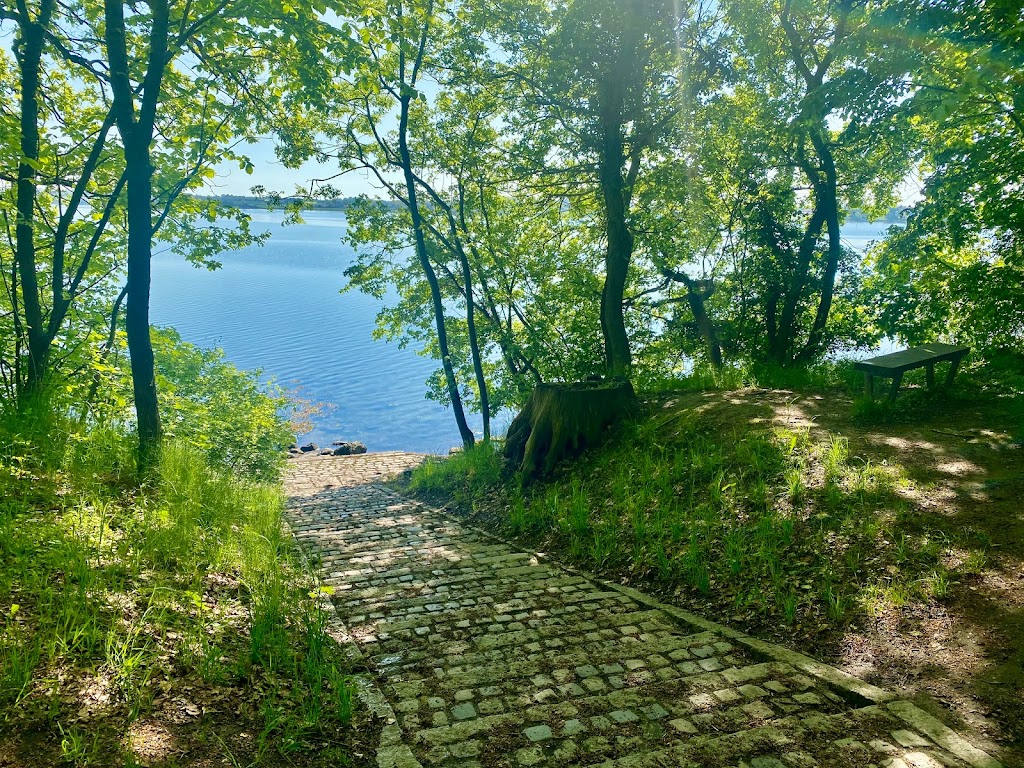 lystskoven-2.jpeg