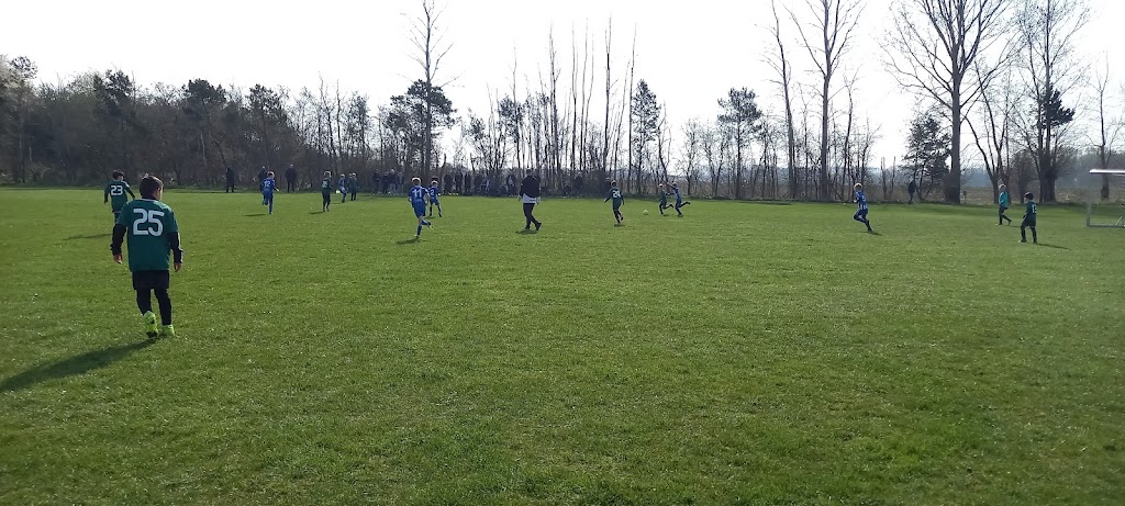 skaelskor-boldklub-idraetsforening-6.jpeg