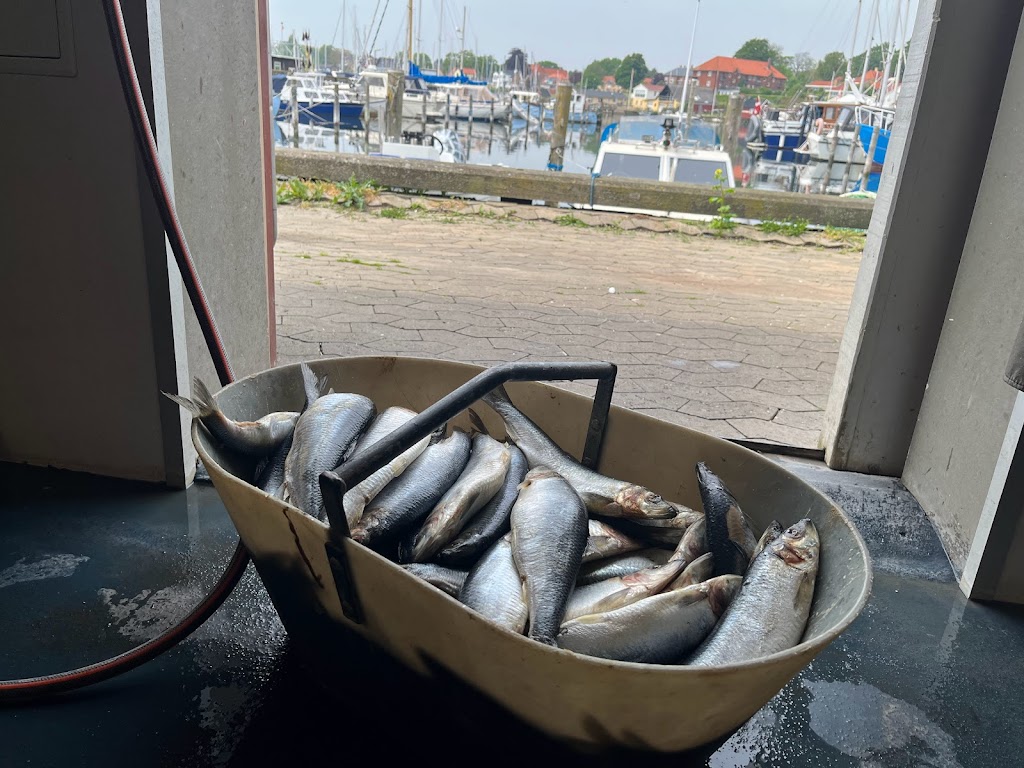skaelskor-fiskehus-aps-2.jpeg