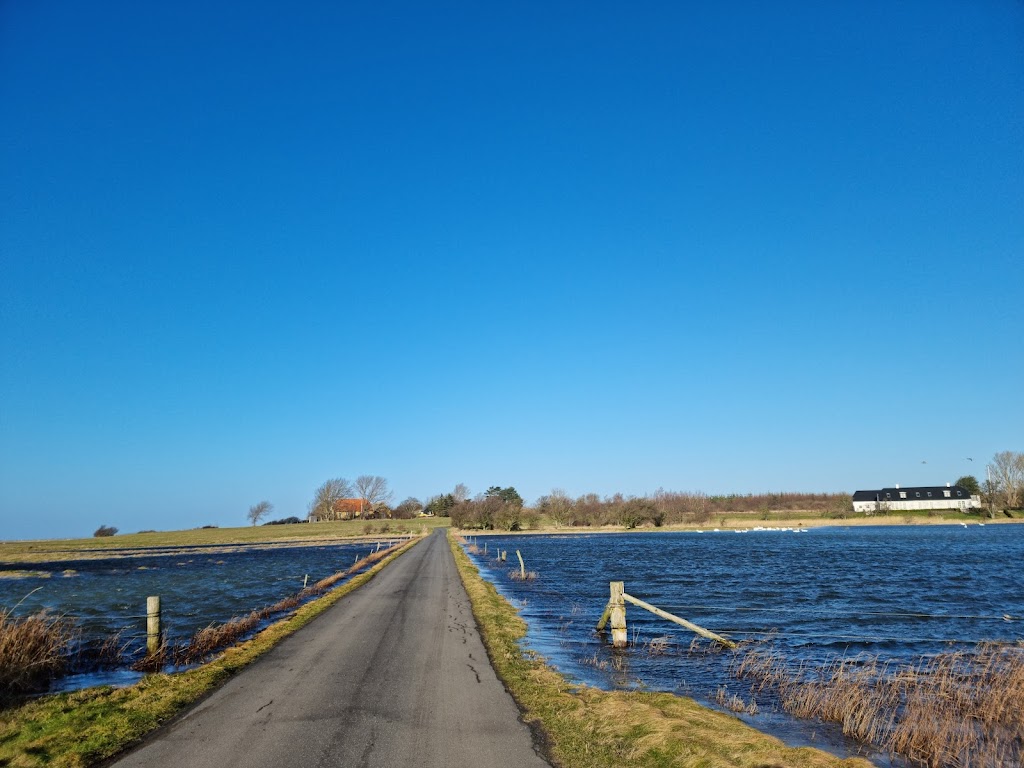 vasebro-harbour-0.jpeg