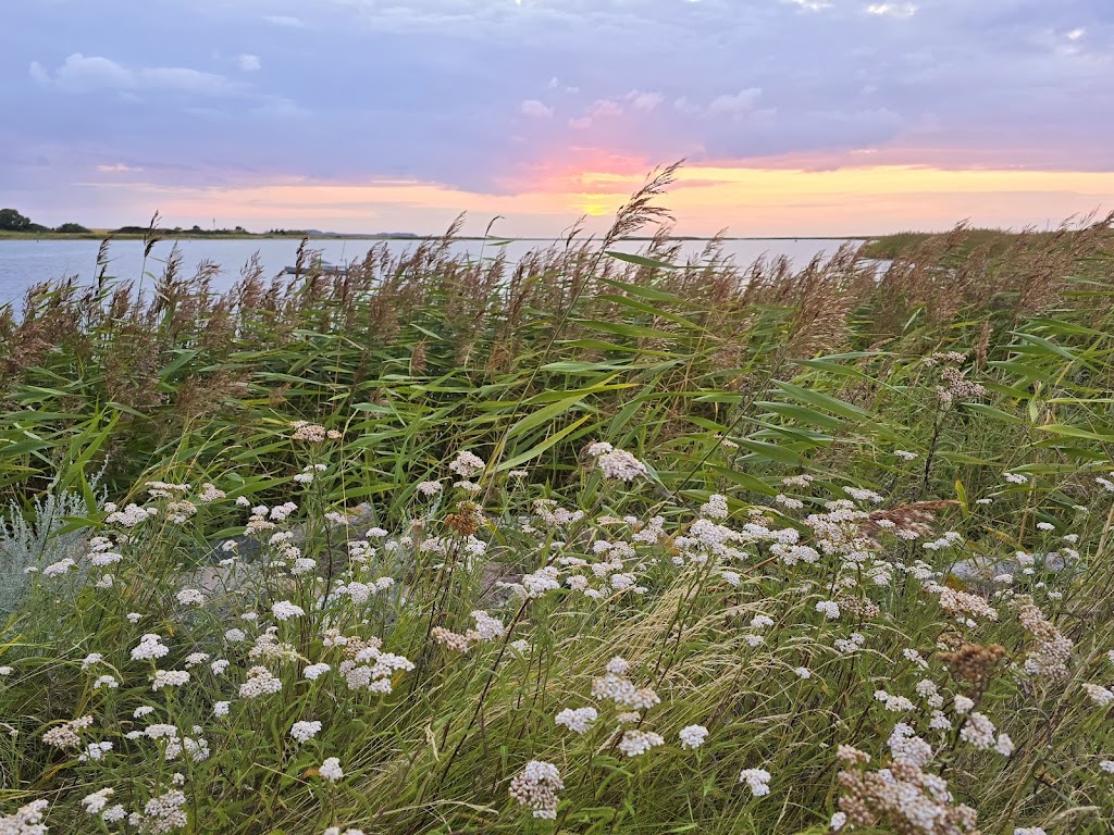 vasebro-harbour-10.jpeg