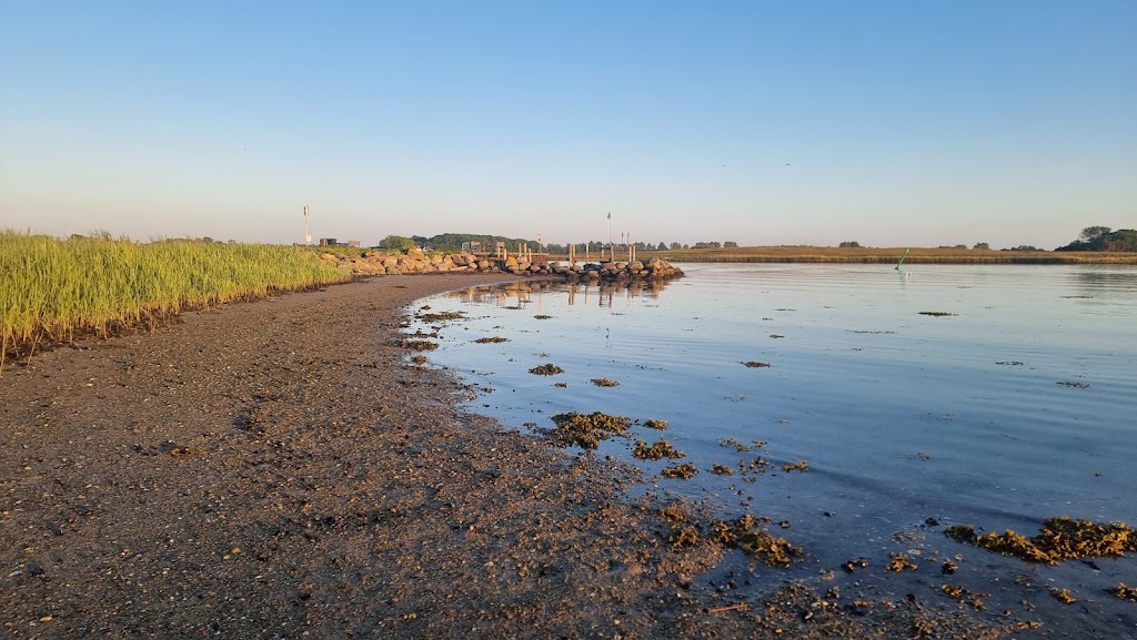 vasebro-harbour-14.jpeg