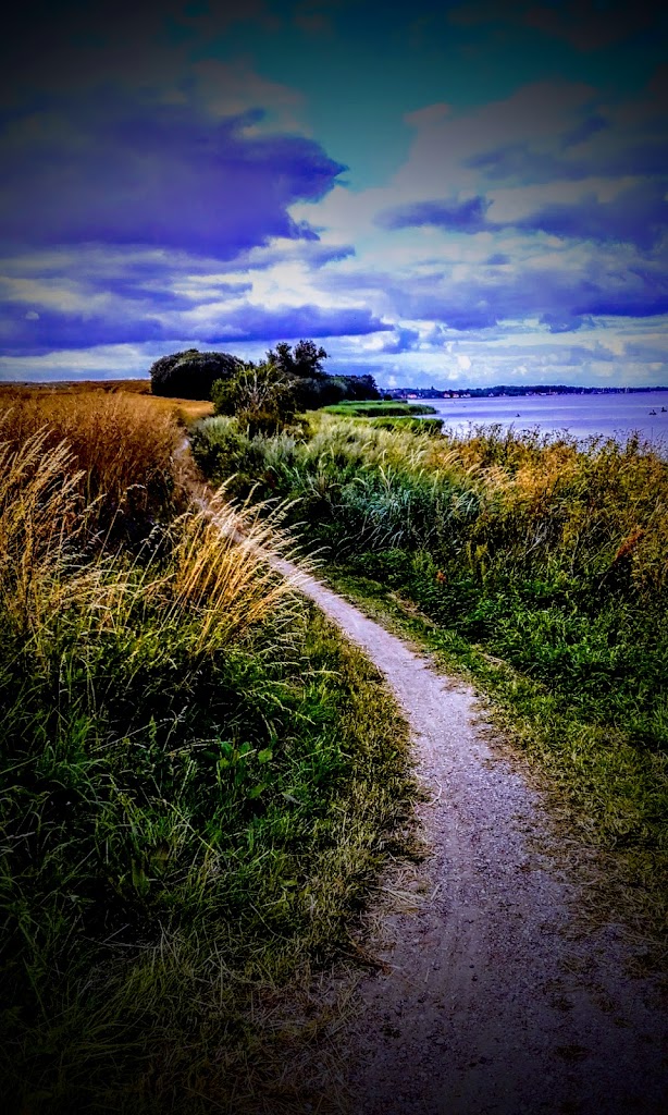 anholm-13.jpeg