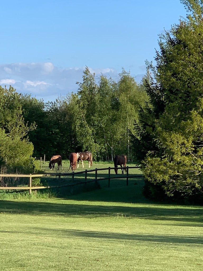 krogstrupgaard-western-rideklub-0.jpeg