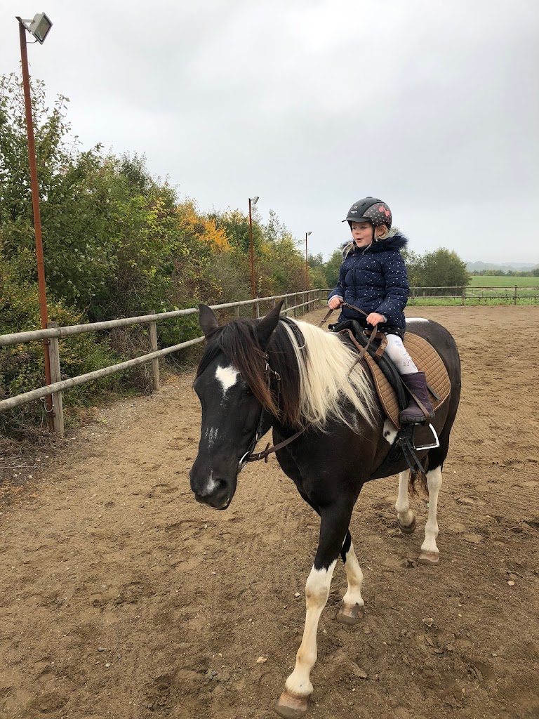 krogstrupgaard-western-rideklub-1.jpeg