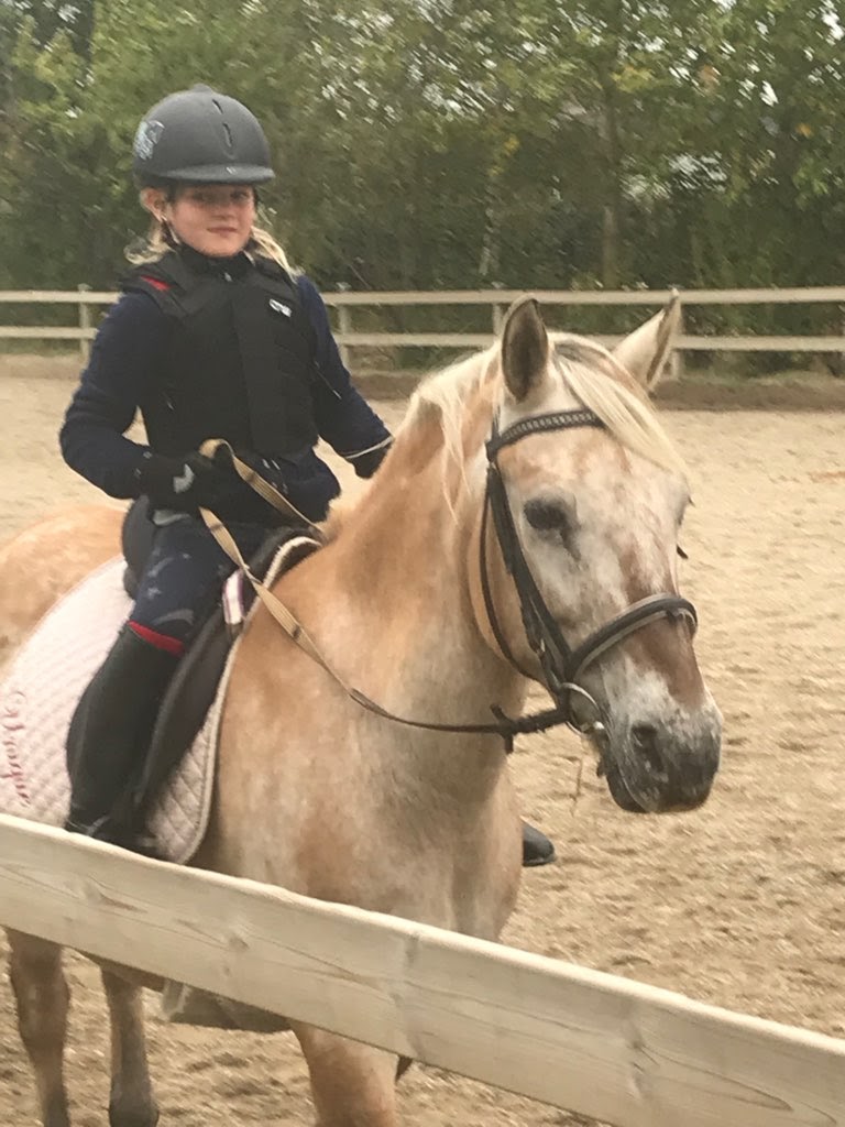 krogstrupgaard-western-rideklub-5.jpeg