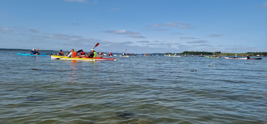 nordhammer-havn-2.jpeg