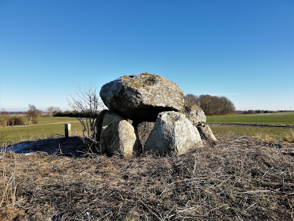 runddysse-pa-sonderby-marker-5.jpeg