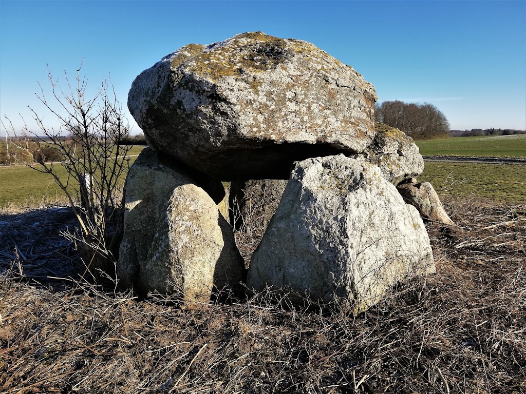 runddysse-pa-sonderby-marker-6.jpeg
