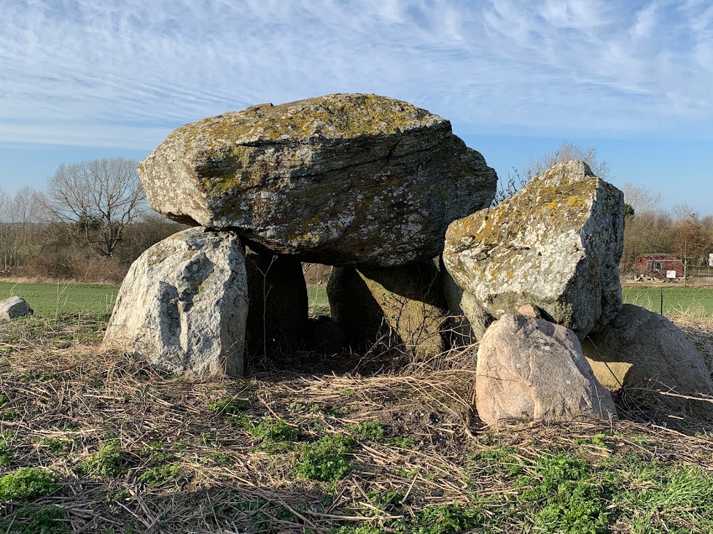 runddysse-pa-sonderby-marker-8.jpeg