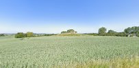 runddysse-pa-sonderby-marker-9.jpeg
