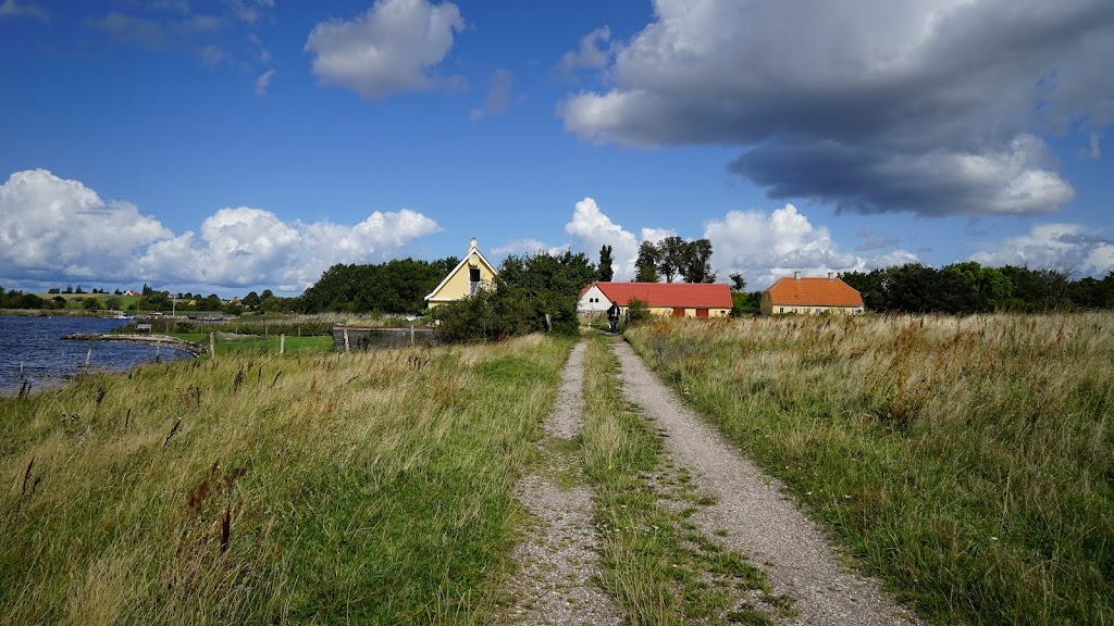 selso-mollekrog-9.jpeg