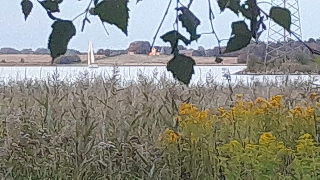 shelter-skuldelev-strand-16.jpeg