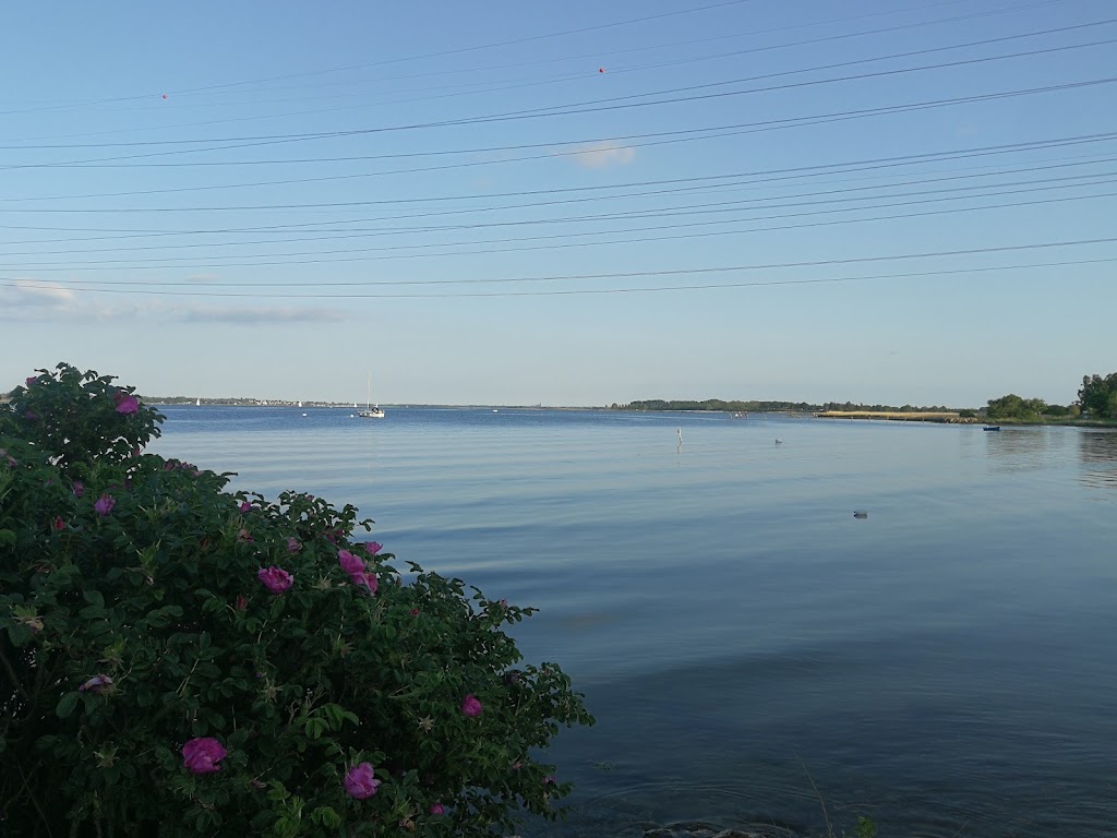 skuldelev-havn-0.jpeg