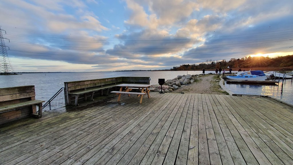 skuldelev-havn-12.jpeg