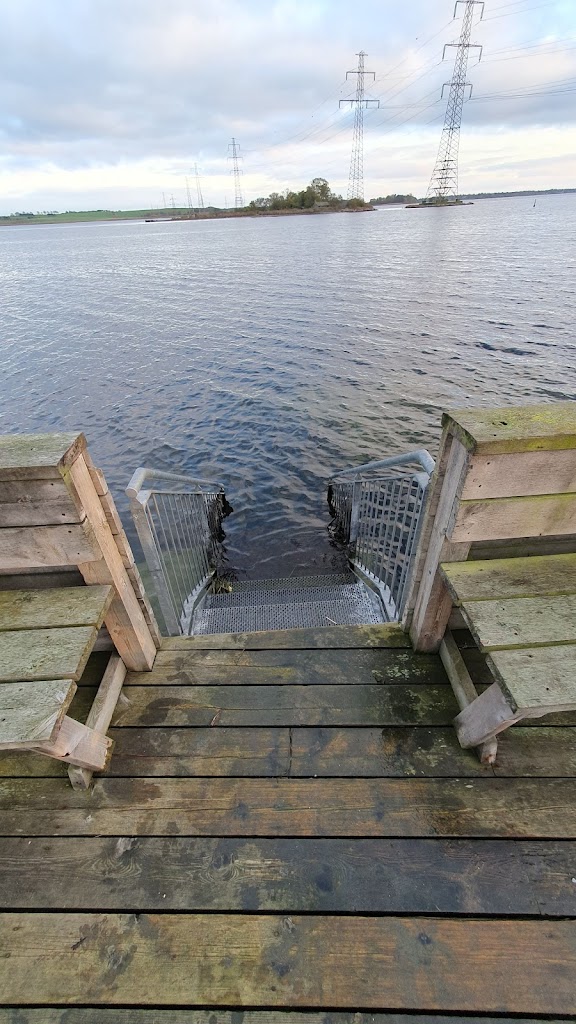 skuldelev-havn-13.jpeg