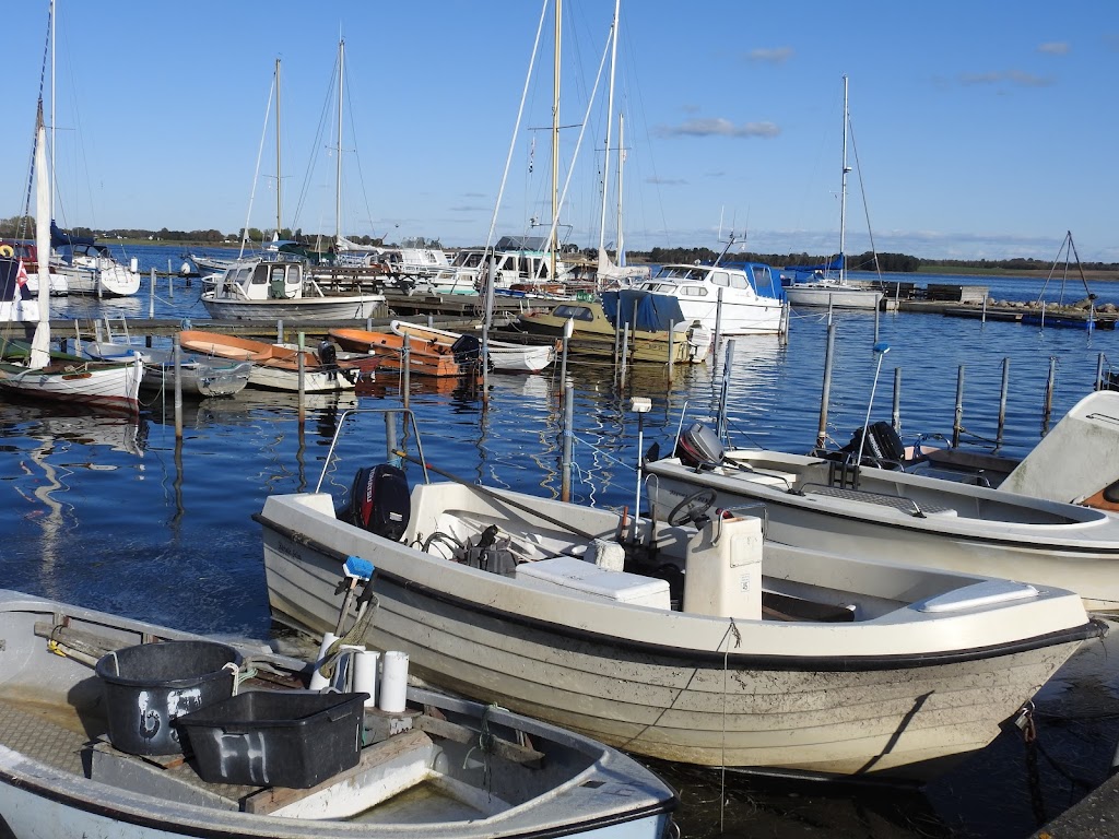 skuldelev-havn-14.jpeg