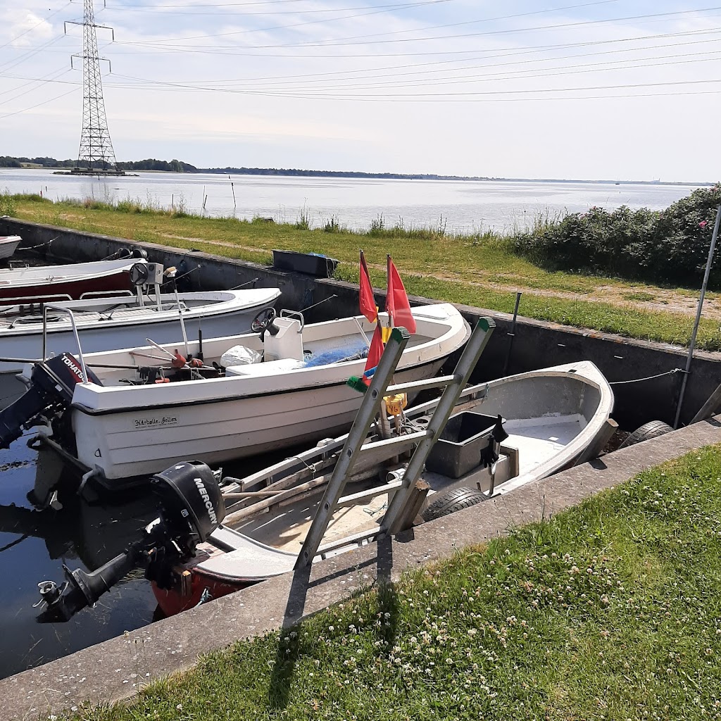skuldelev-havn-18.jpeg