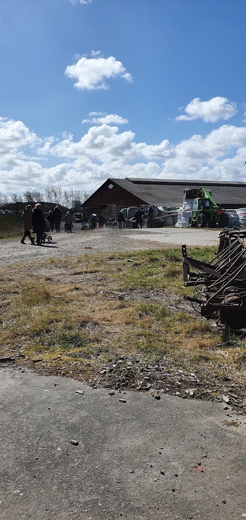 svanholm-storkollektiv-1.jpeg