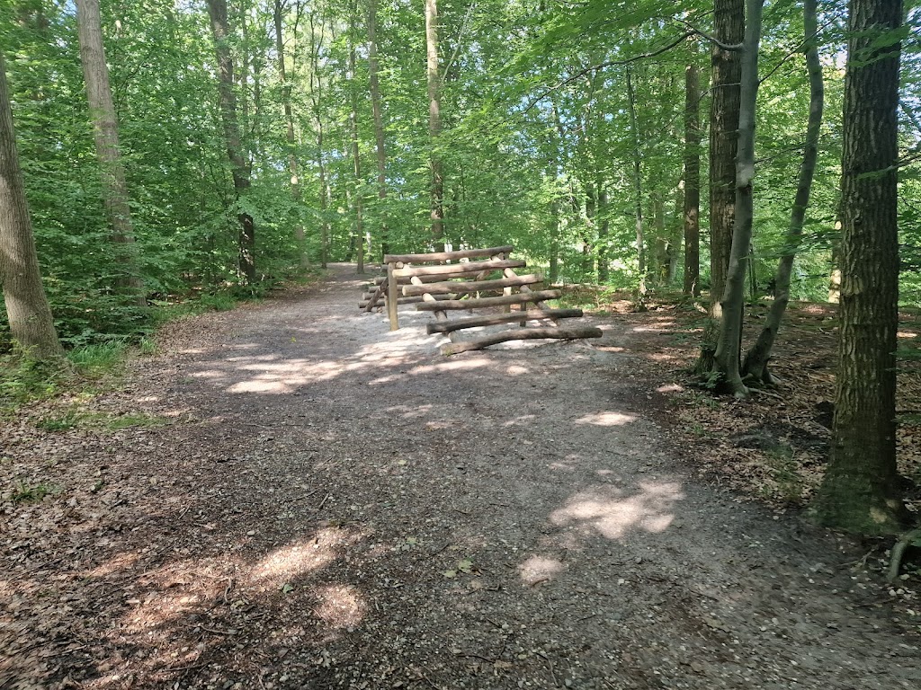 skodsborg-fitness-track-11.jpeg