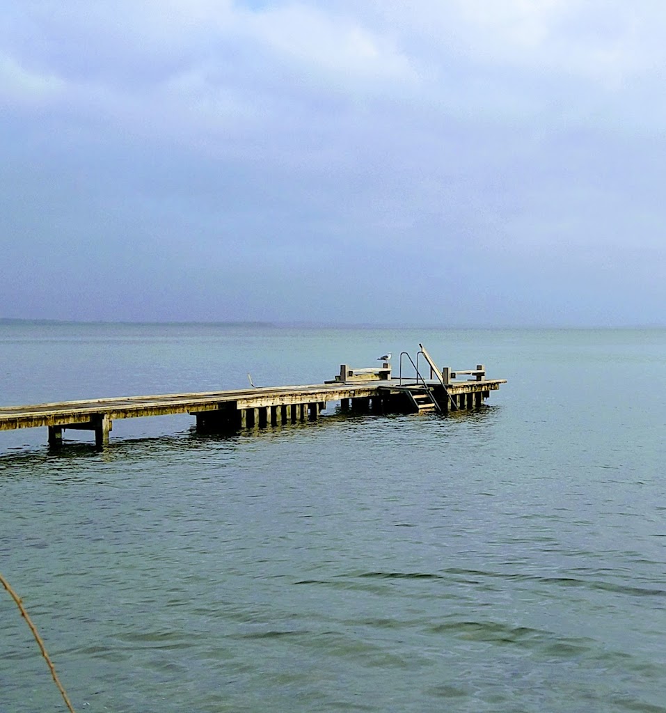 skodsborg-strand-16.jpeg