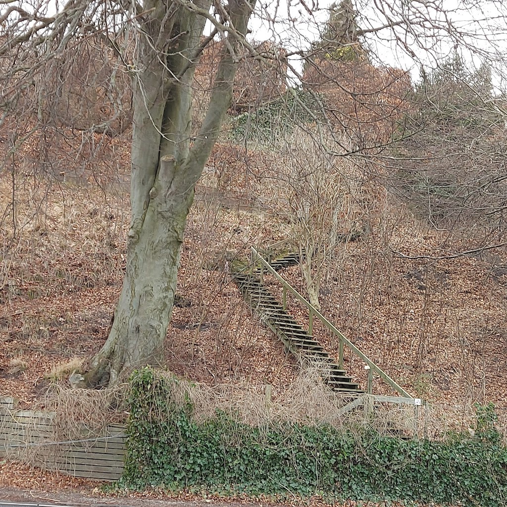 skodsborg-strand-2.jpeg