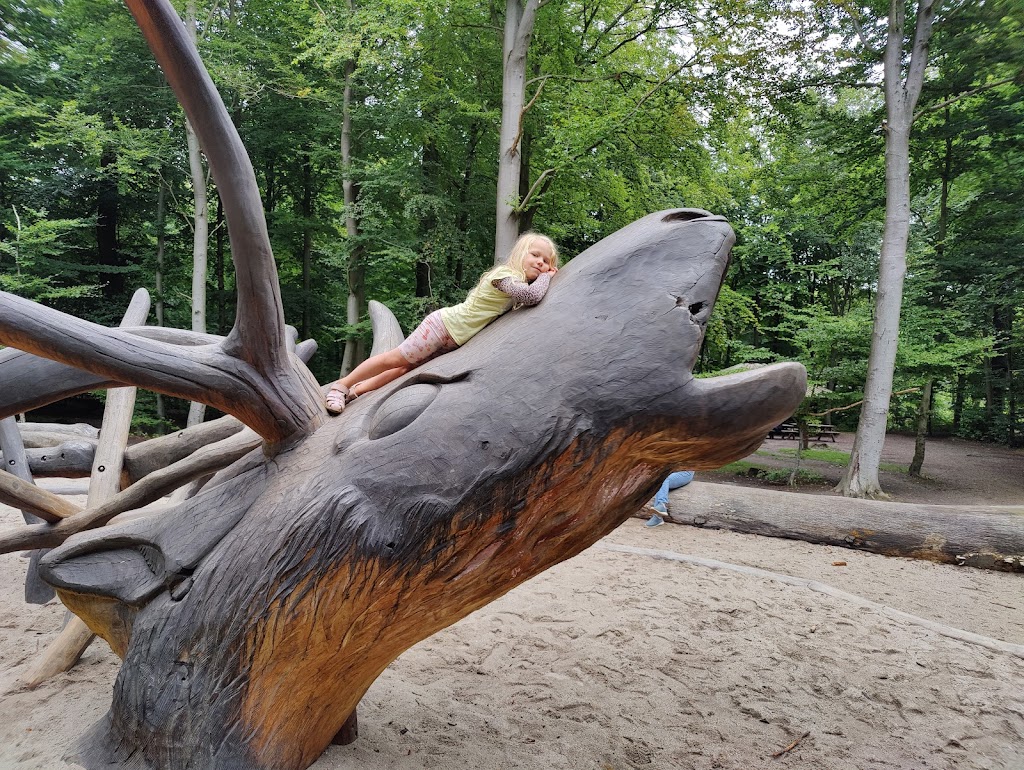 skovlegeplads-skodsborg-0.jpeg