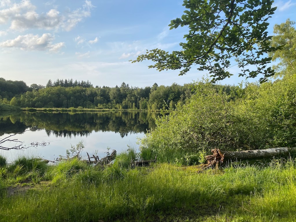 skovlegeplads-skodsborg-15.jpeg