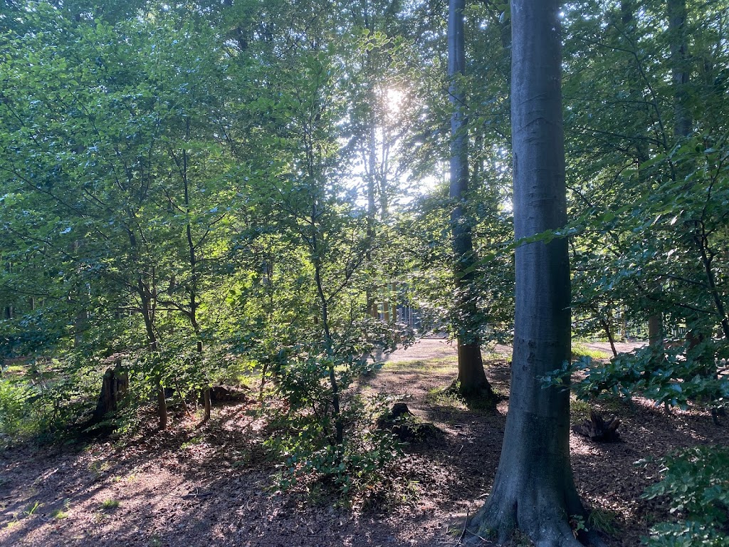 skovlegeplads-skodsborg-7.jpeg