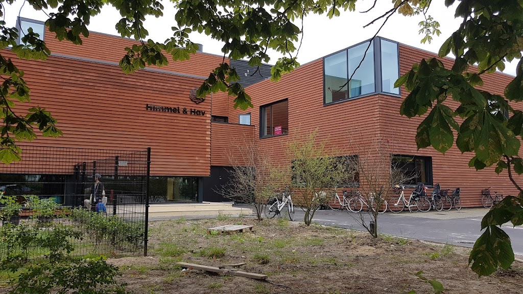 bornehuset-himmel-og-hav-0.jpeg