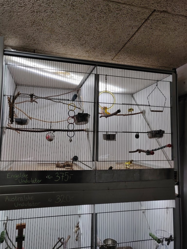 foderboxen-dyrehandler-og-akvariefisk-9.jpeg